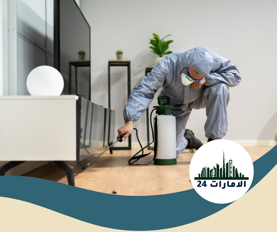 مكافحة حشرات المنزل في عجمان