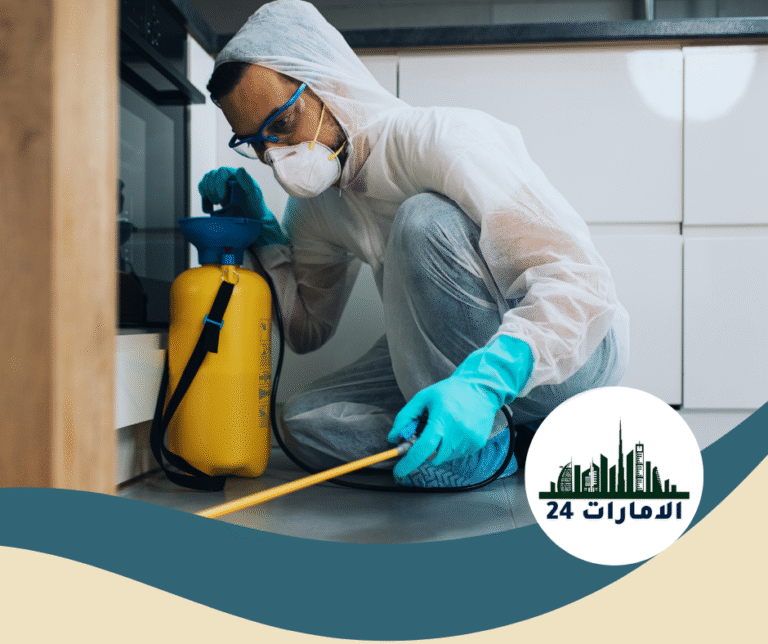 شركة رش حشرات في العين