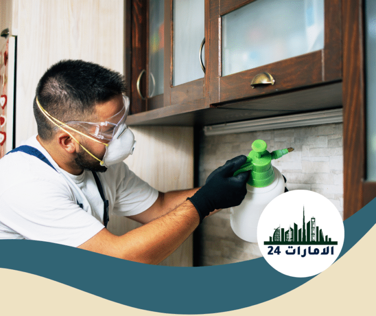 شركة رش حشرات في الفجيرة