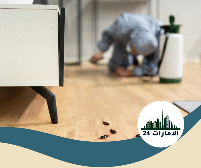 شركة رش حشرات في ام القيوين