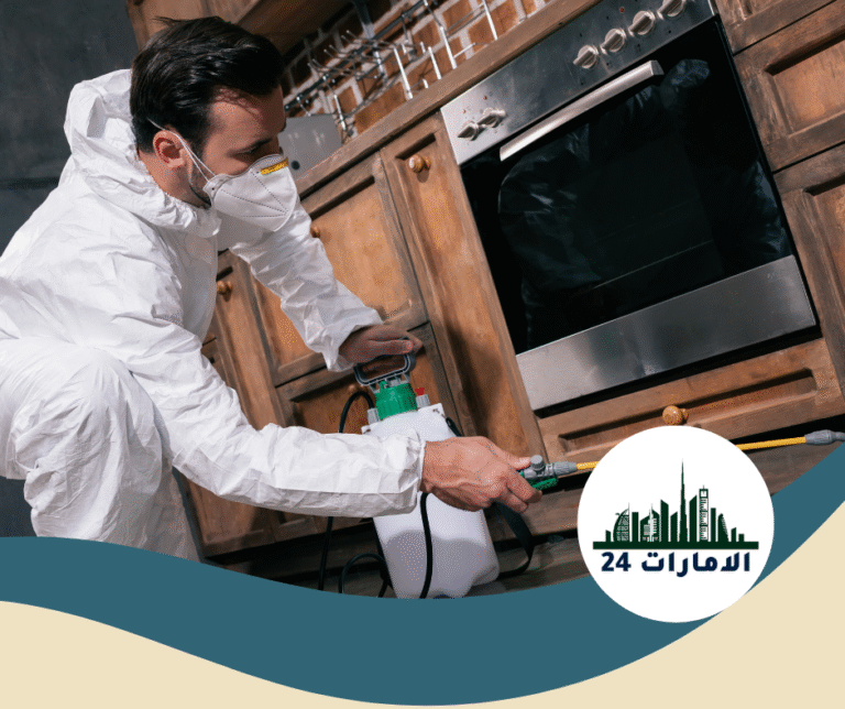 شركة رش حشرات في دبي
