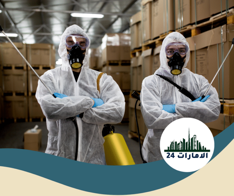 شركة مكافحة حشرات في عجمان