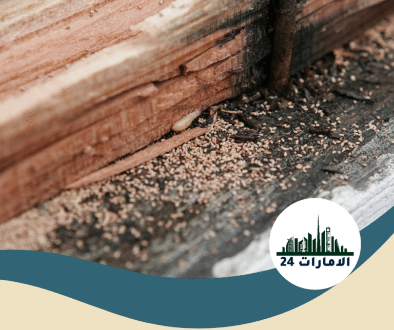 شركة مكافحة الرمة في راس الخيمة