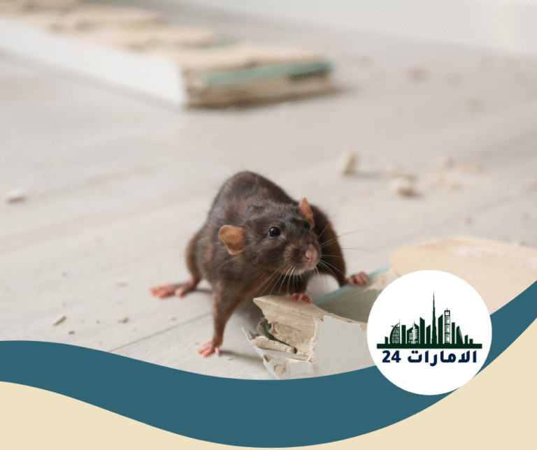 شركة مكافحة الزواحف في عجمان