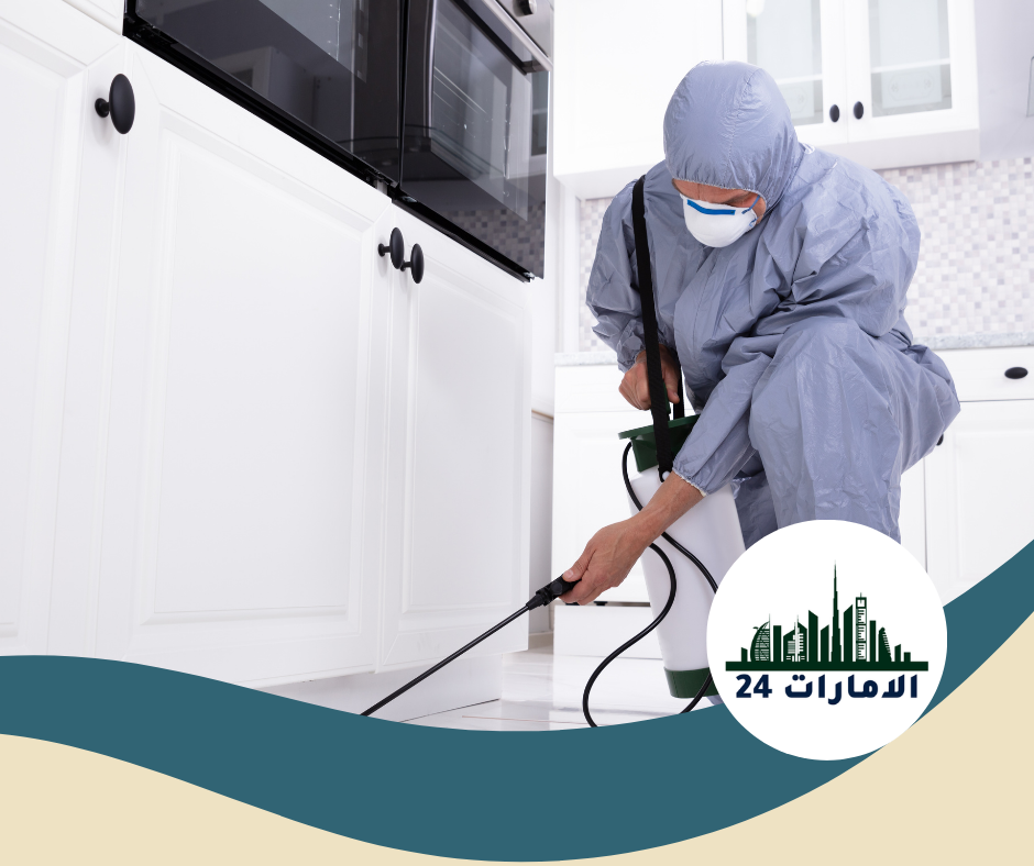مكافحة حشرات في المطابخ ابوظبي